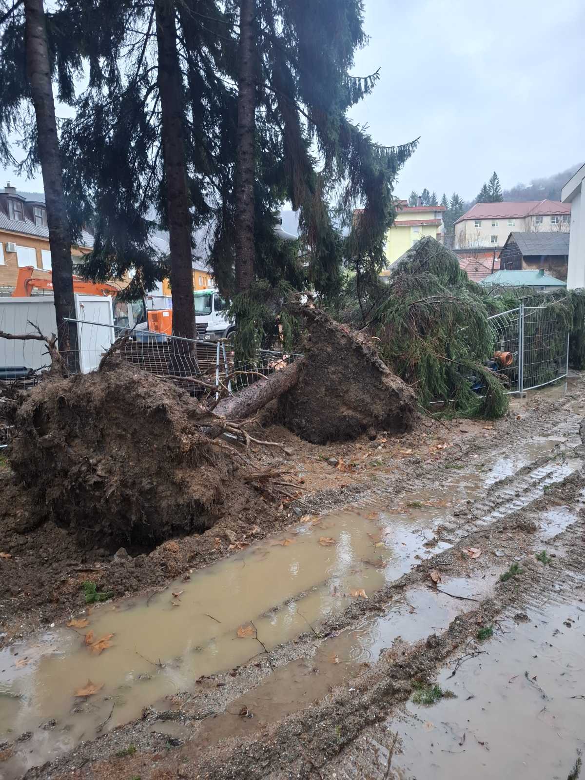 (Foto: Portal ETV/A.H.)