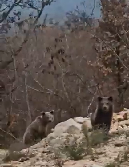  (Foto: Screenshot Portal ETV)