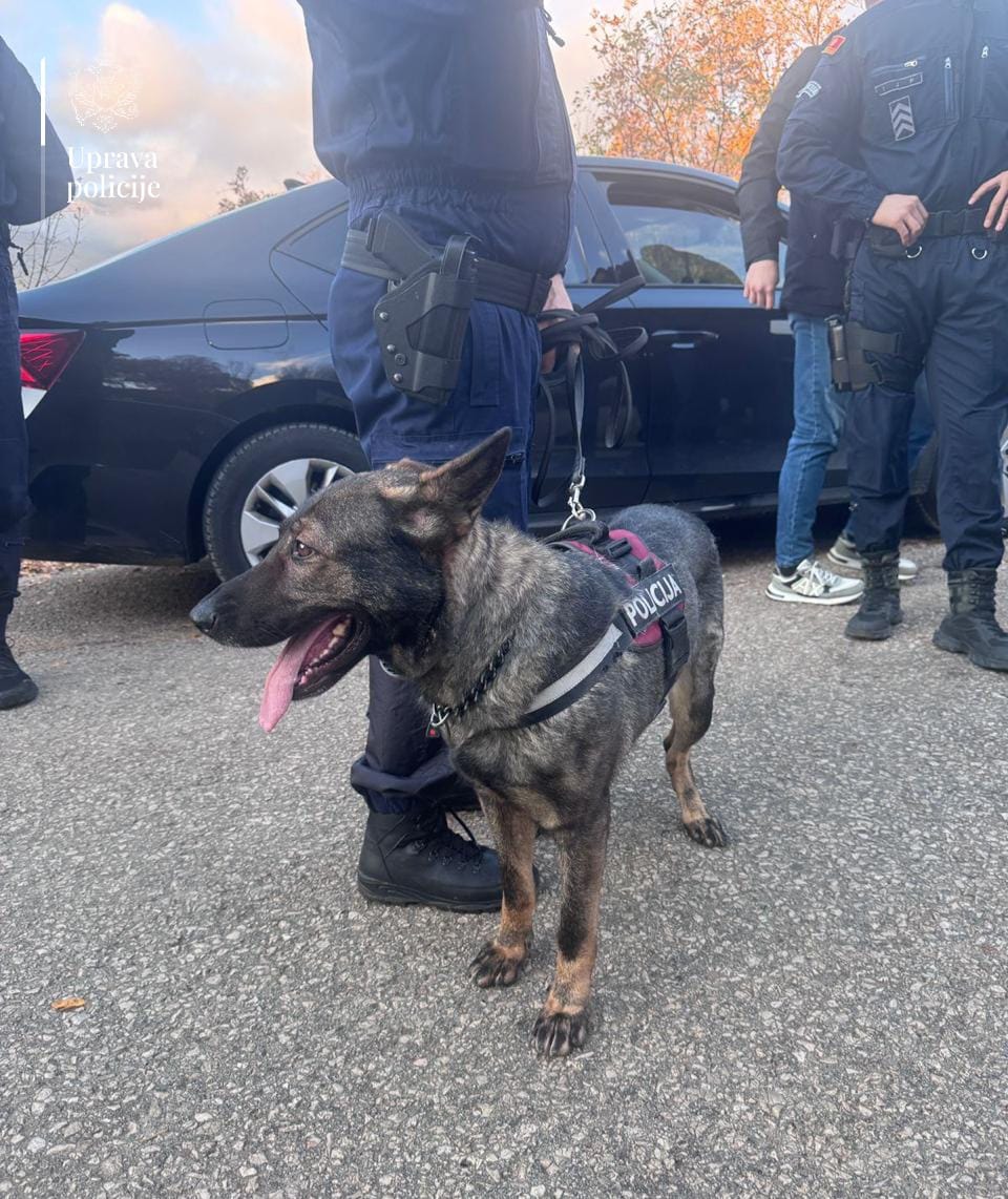 Policijski pas iz akcije hapšenja