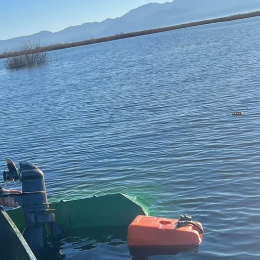 (Foto: NPCG Fejsbuk)