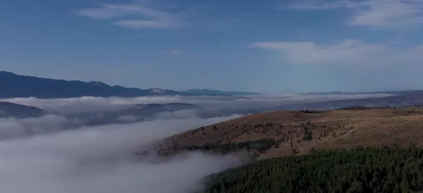 (Foto: TV E - stop kadar (arhivski snimak))