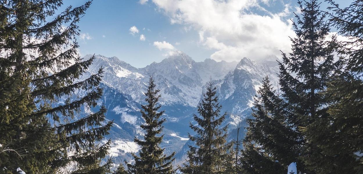 Ilustracija (Foto: Pixabay)