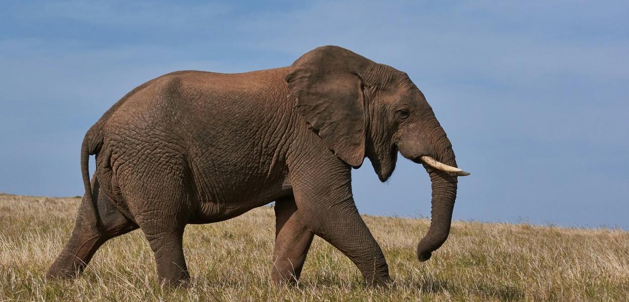 Ilustracija (Foto: Wolfgang Hasselmann/Unsplash)