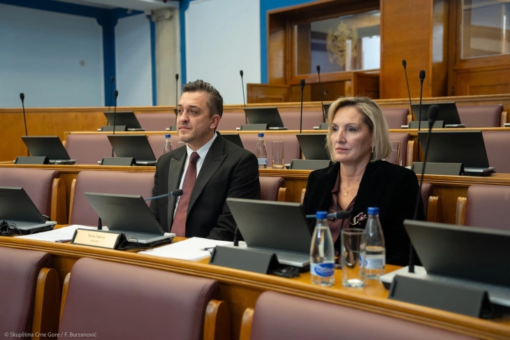  (Foto: Skupština stop kadar)