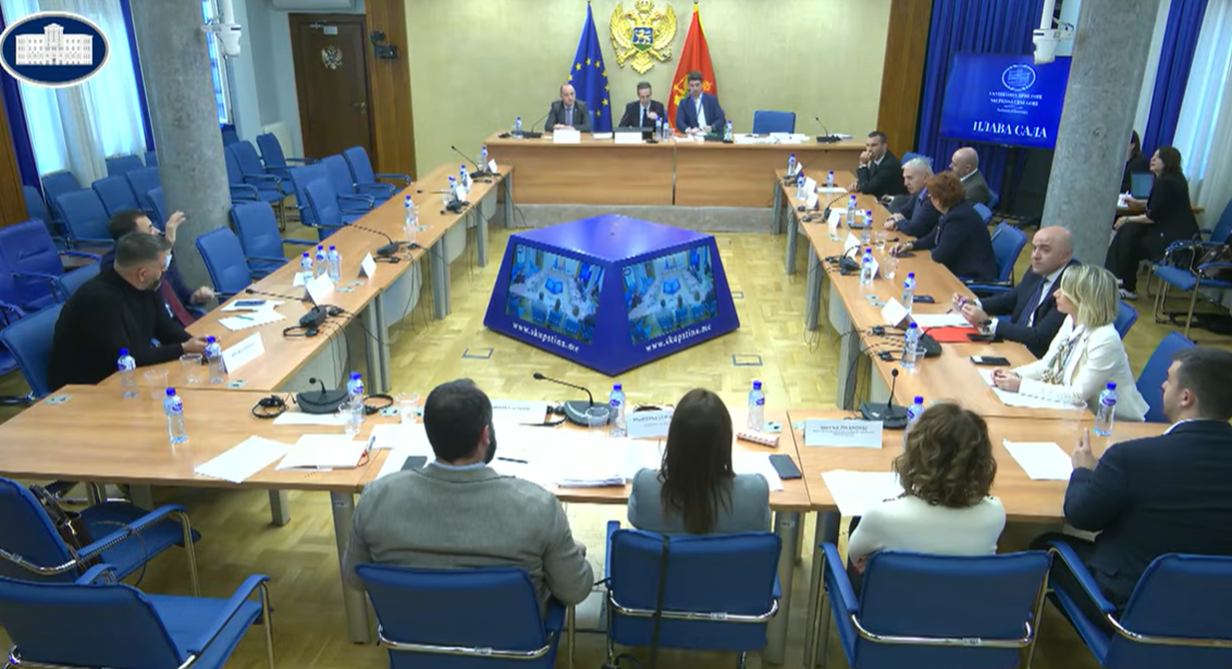  (Foto: Skupština Stop kadar)