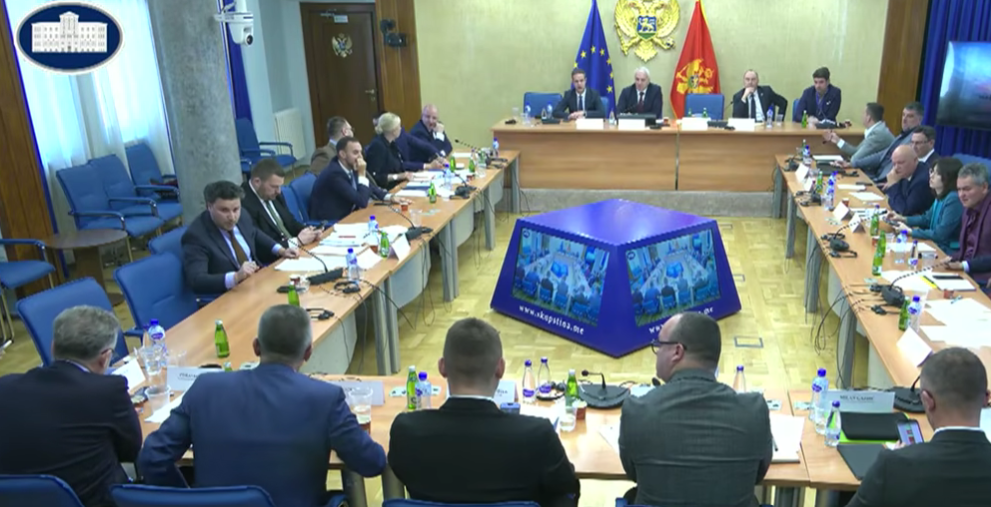 Detalj sa zajedničke sjednice skupštinskih odbora (Foto: Stop kadar)