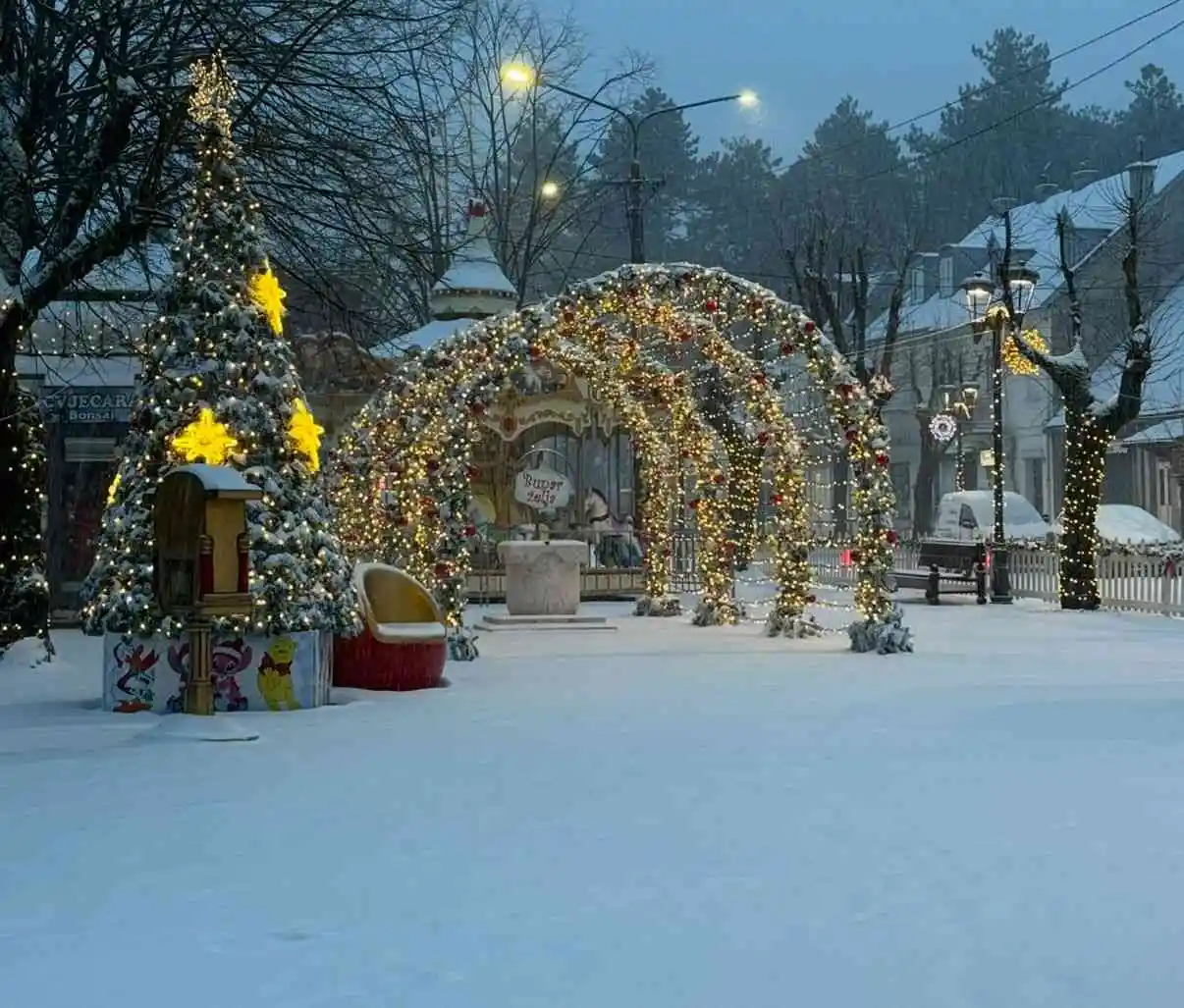 Snijeg na Cetinju (Foto: RTV Cetinje)