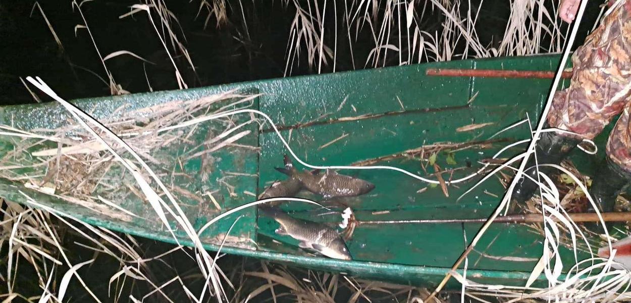 Foto: NP Skadarsko jezero