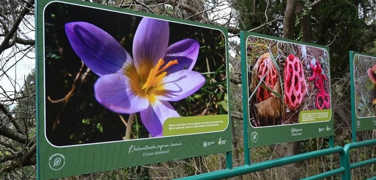 (Foto: Agencija za upravljanje zaštićenim područjima Podgorice)