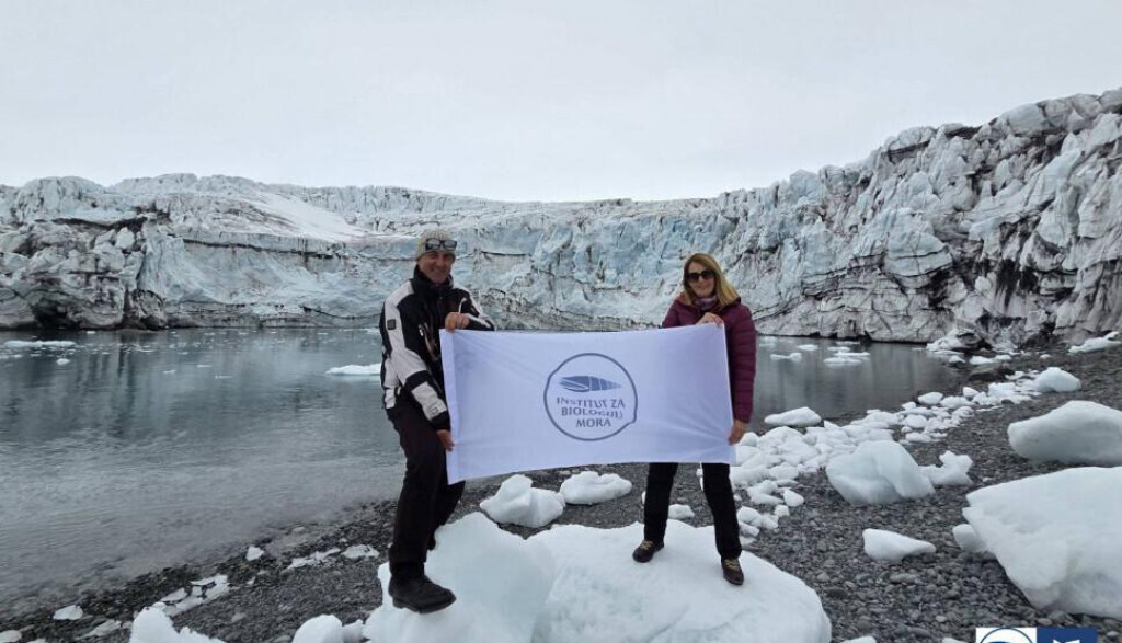 (Foto: Institut za biologiju mora)