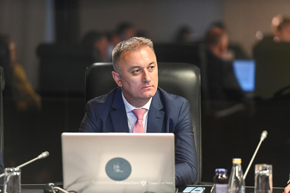 Damir Gutić (Foto: Vlada Crne Gore)