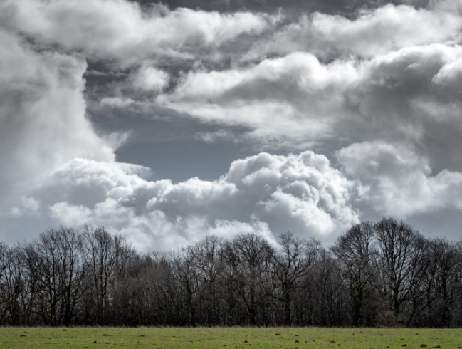  (Foto: Shutterstock)