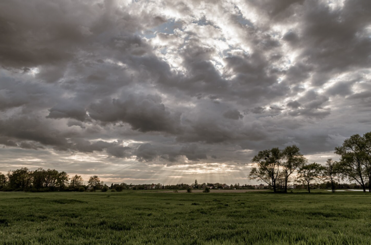  (Foto: Shutterstock)