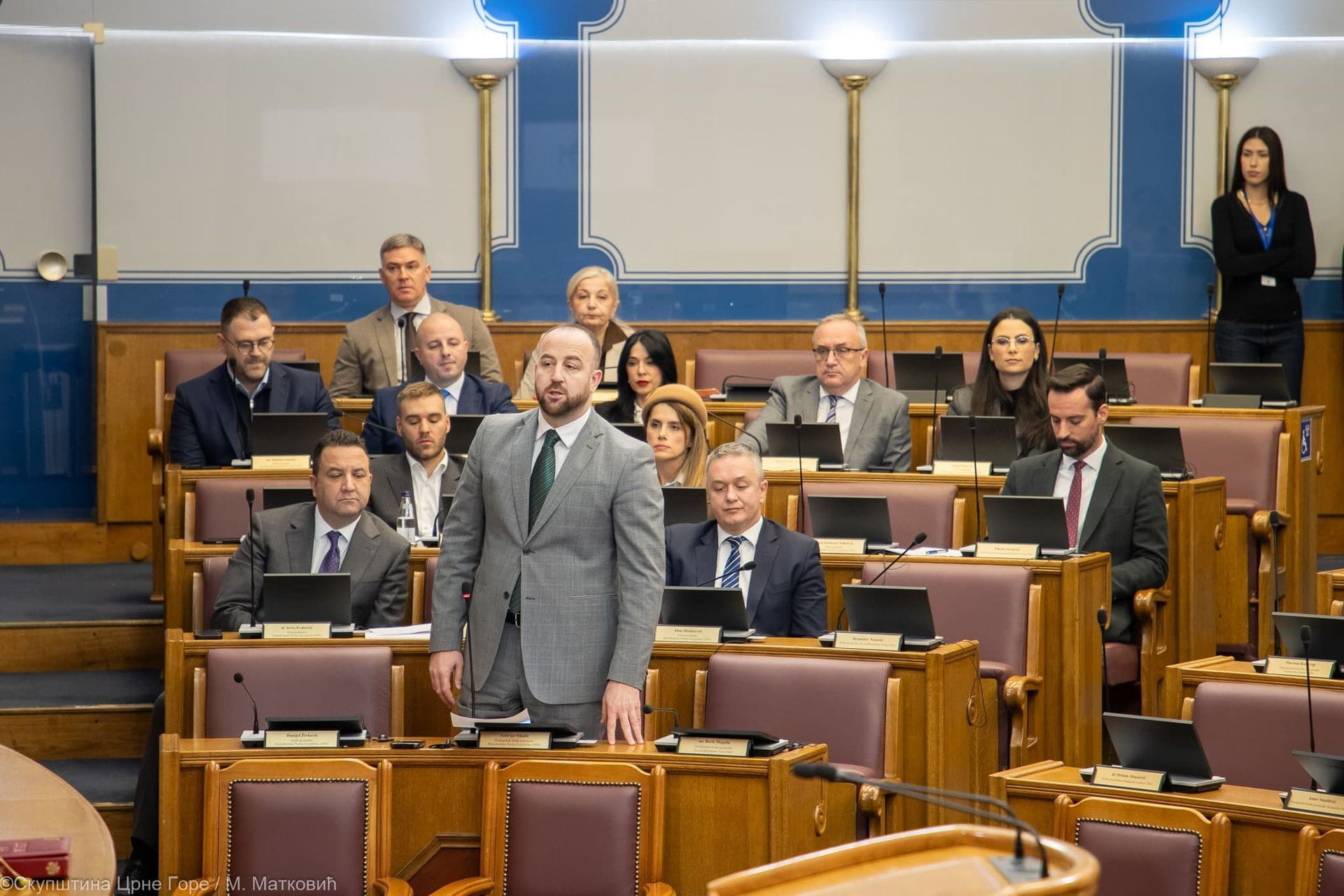 Opozicija u Skupštini