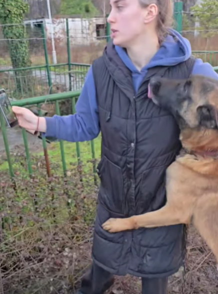 Volonterka pokušava da spasi psa (Foto: Stop kadar)