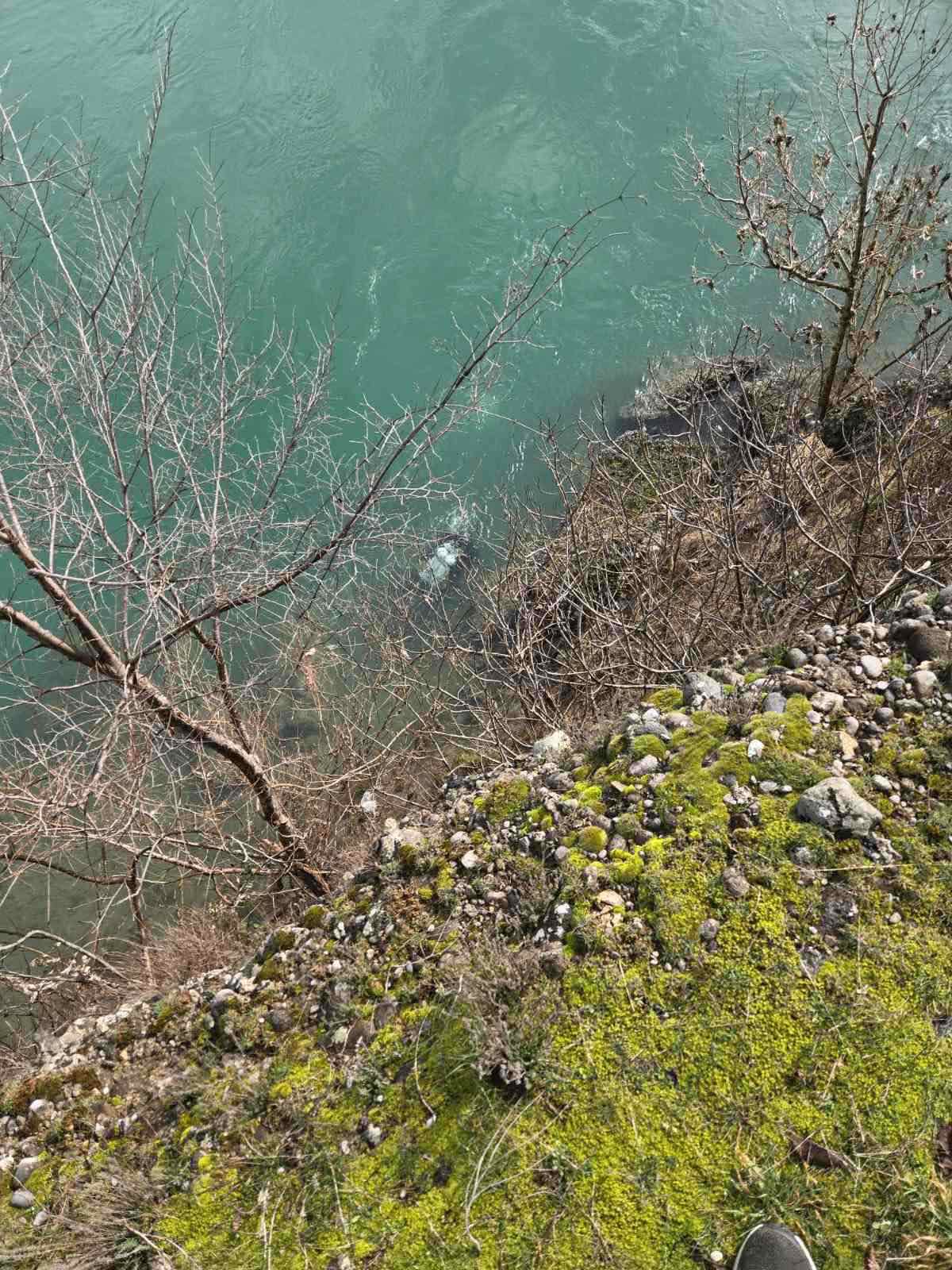  (Foto: Regionalni ronilački centar)