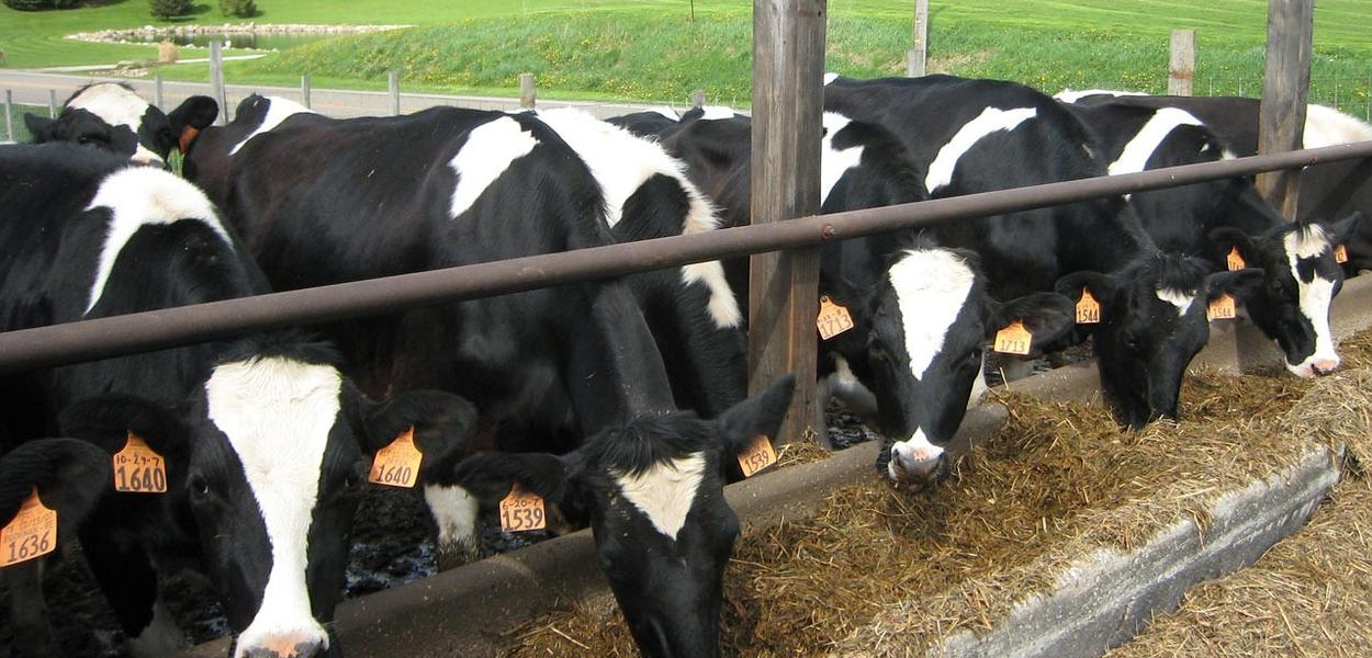 Ilustracija (Foto: Pixabay)