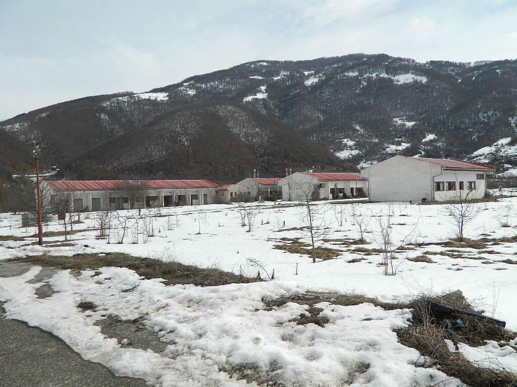 Ruinirani pogoni u Brezojevicama (Foto: Dan/D.J.)