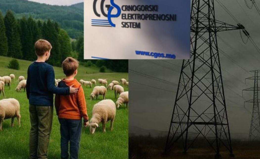 Ilustracija (Foto: Spasimo Brezna)