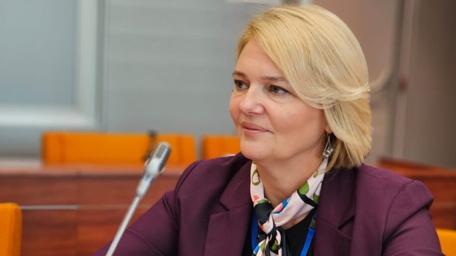 ČETIRI KRIVIČNE PRIJAVE I - NIŠTA OD PROCESUIRANJA: Olivera Injac 