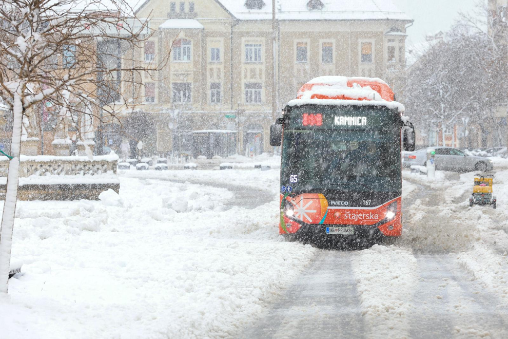 (Foto: Marko Vanosek/PIXSELL)