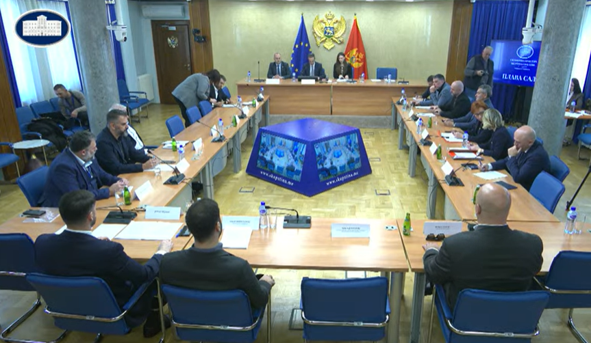  (Foto: Skupština Screenshot YT)