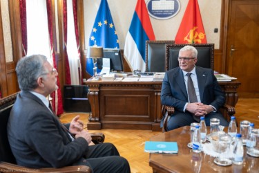 (Foto: Skupština Crne Gore)