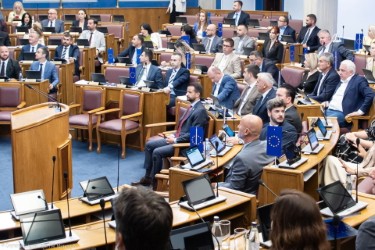 Parlamentarna većina