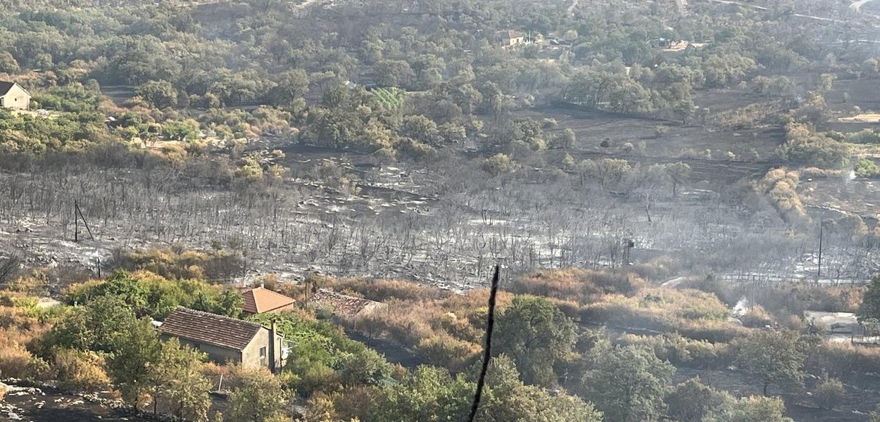 Consequences of the fires in Piperi (Foto: Portal ETV/Tamara Klikovac)