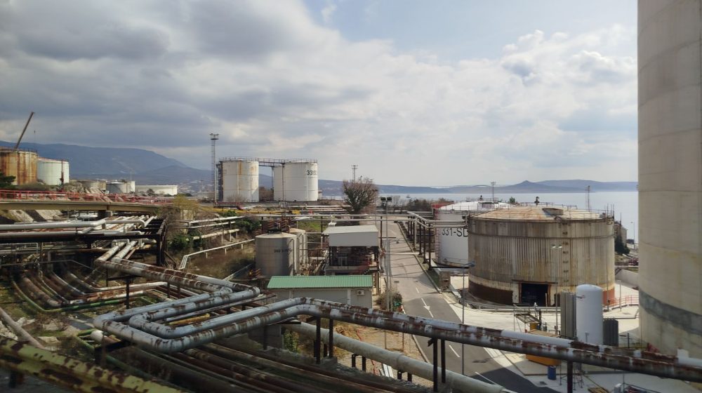 (Foto: Danas/Suzana Peljto)