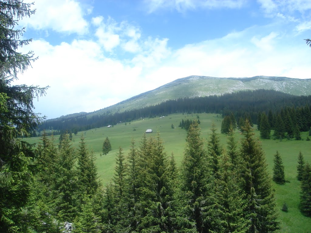 PLJEVLJA FORESTS IN THE HANDS OF INTEREST GROUPS: Ljubišnja (Foto: PV Novine)