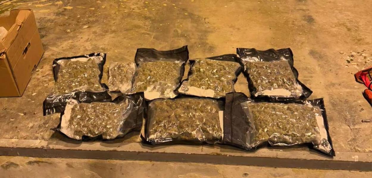 Zaplijenjena marihuana (Foto: Uprava policije)