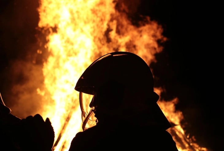 Ilustracija (Foto: Pixabay)