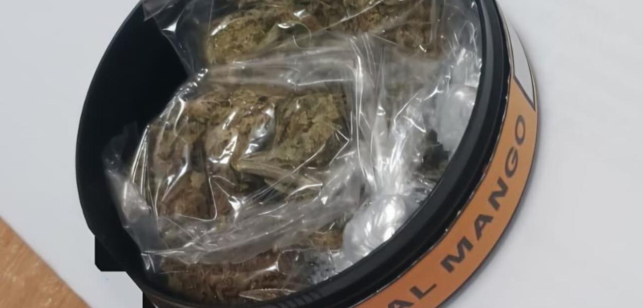 Oduzeta marihuana (Foto: Uprava policije)