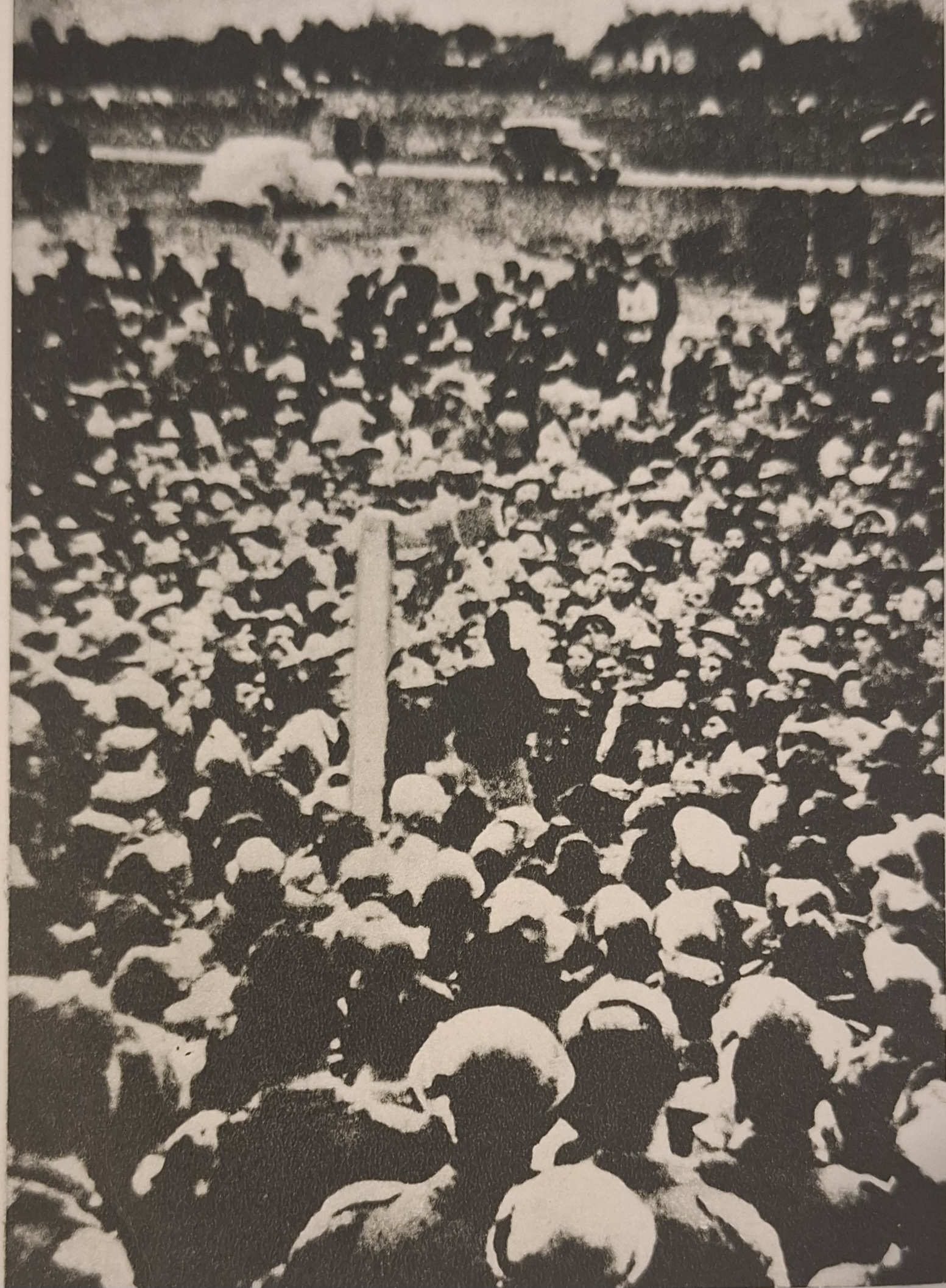 Grupa uhapšenih partizana iz okoline Nikšića koje su četnici u proljeće 1942. godine predali italijanima koji su ih strijeljali