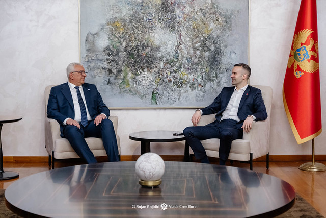 Milojko Spajić i Andrija Mandić