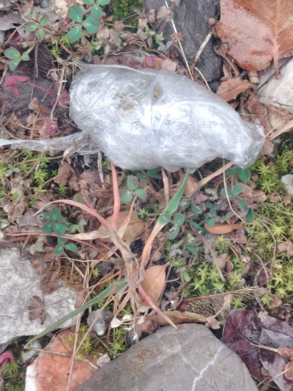 Pakovanje sa marihuanom (Foto: Uprava policije)