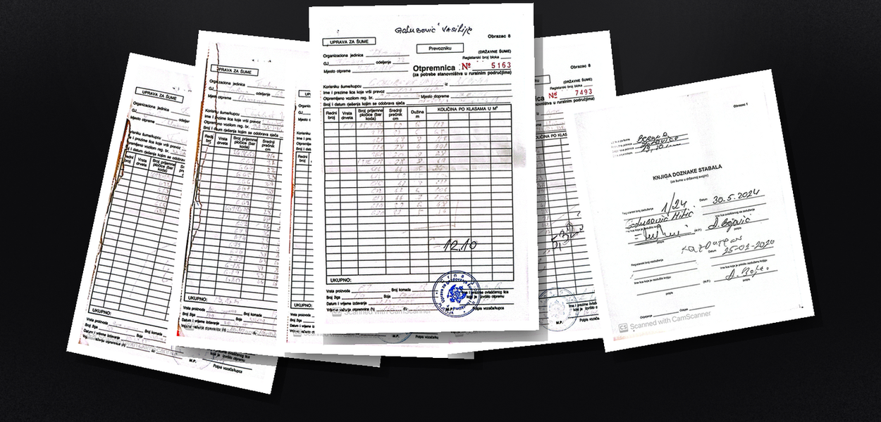  (Foto: Portal Standard)