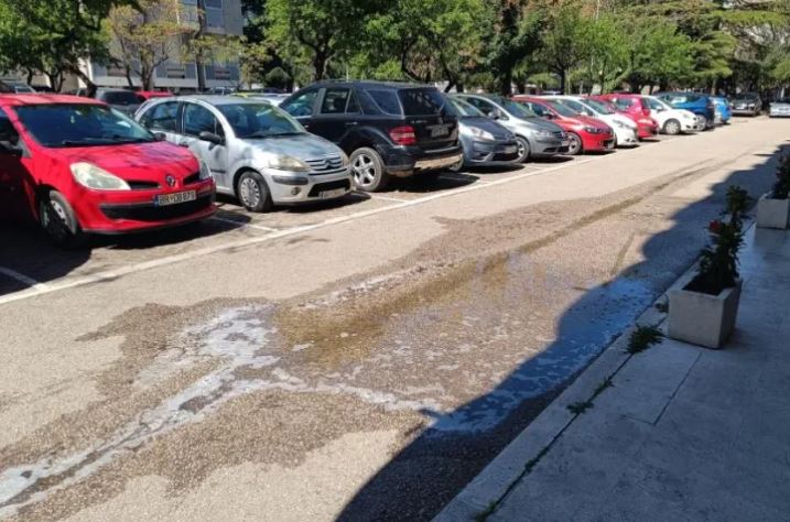  (Foto: Primorski portal)