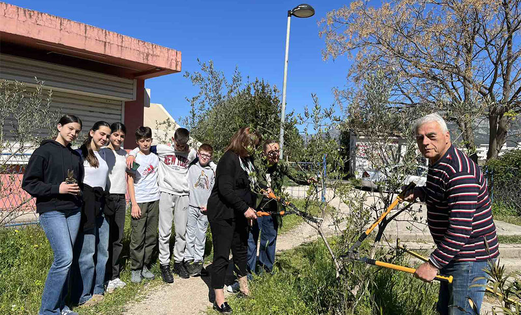 Akcija orezivanja maslina (Foto: Bar info)