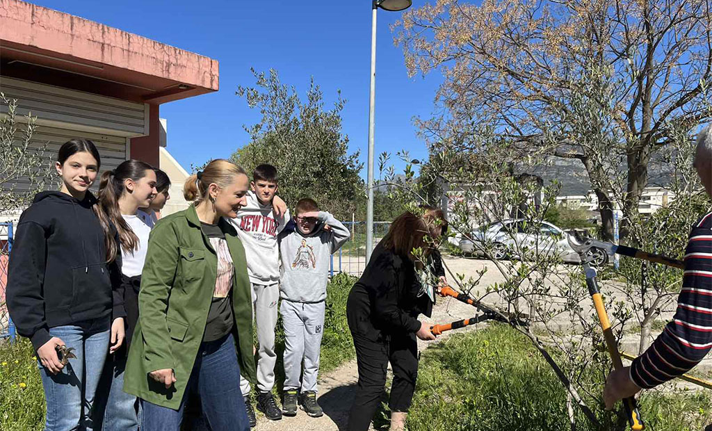 Akcija orezivanja maslina