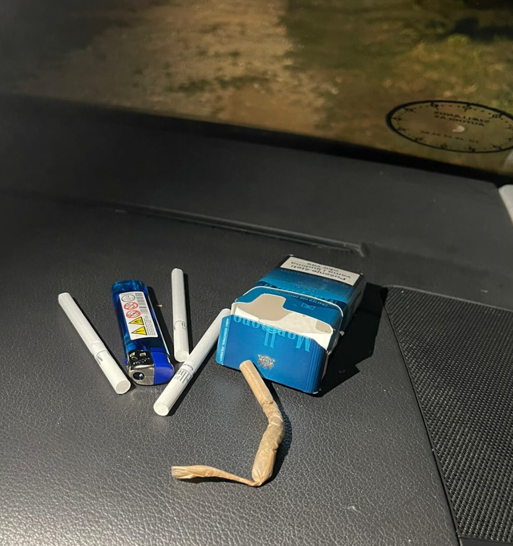 Oduzeta marihuana (Foto: Uprava policije)