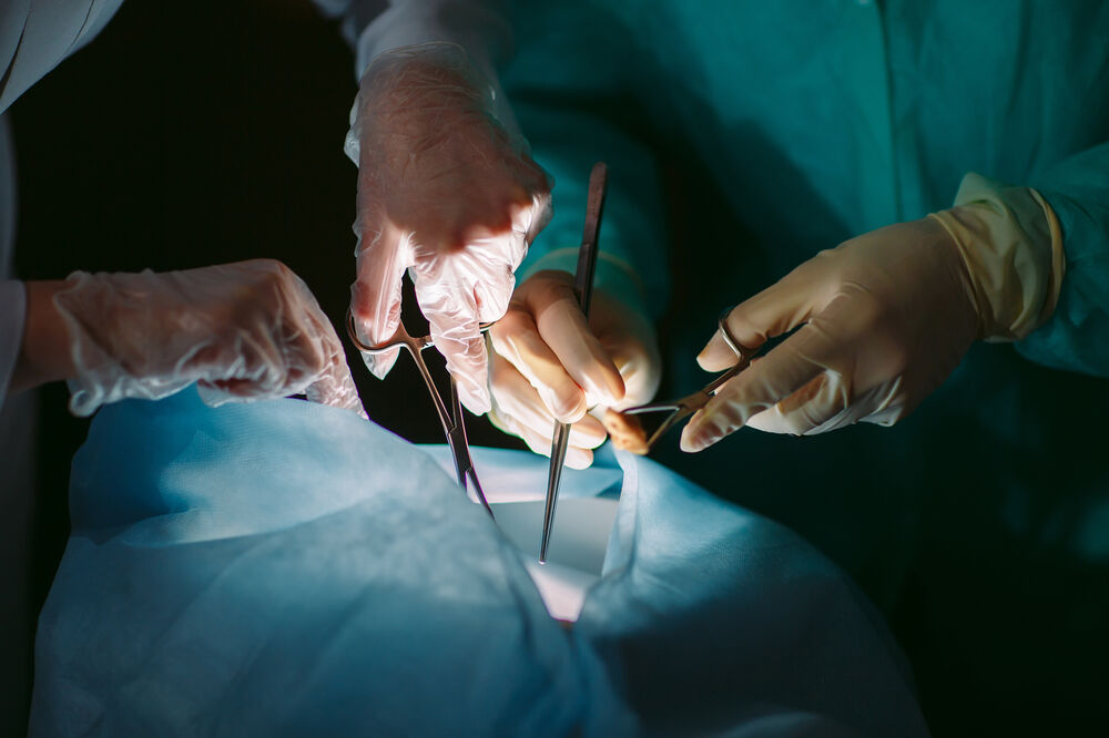  (Foto: Shutterstock)