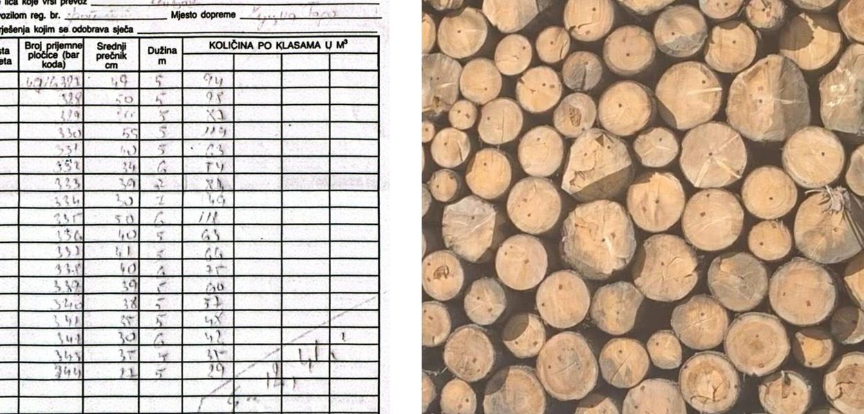 Jedan od bezimenih naloga (kojih ima veća količina) sa trupcima F klase koji je otpremljen kao ogrijevno drvo (devet eura po kubiku), a njegova stvarna vijednost je najmanje 1.200 eura