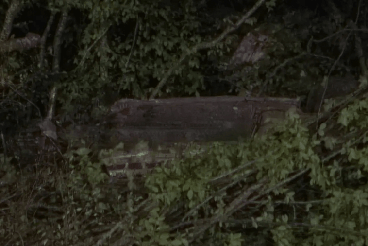  (Foto: Radio Cetinje)