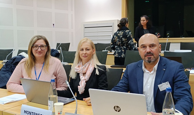 SUKOB INTERESA: Kristina Braletić (u sredini) i Mladen Tomović