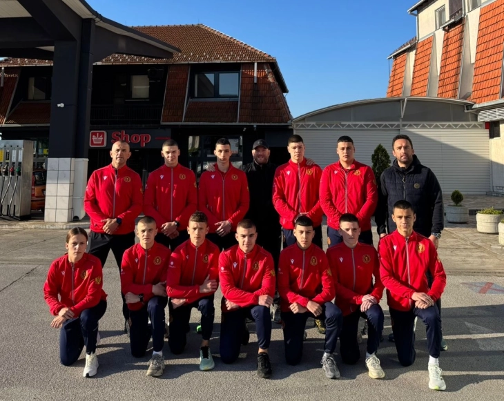 Crnogorski bokseri u Lazarevcu (Foto: BSCG)