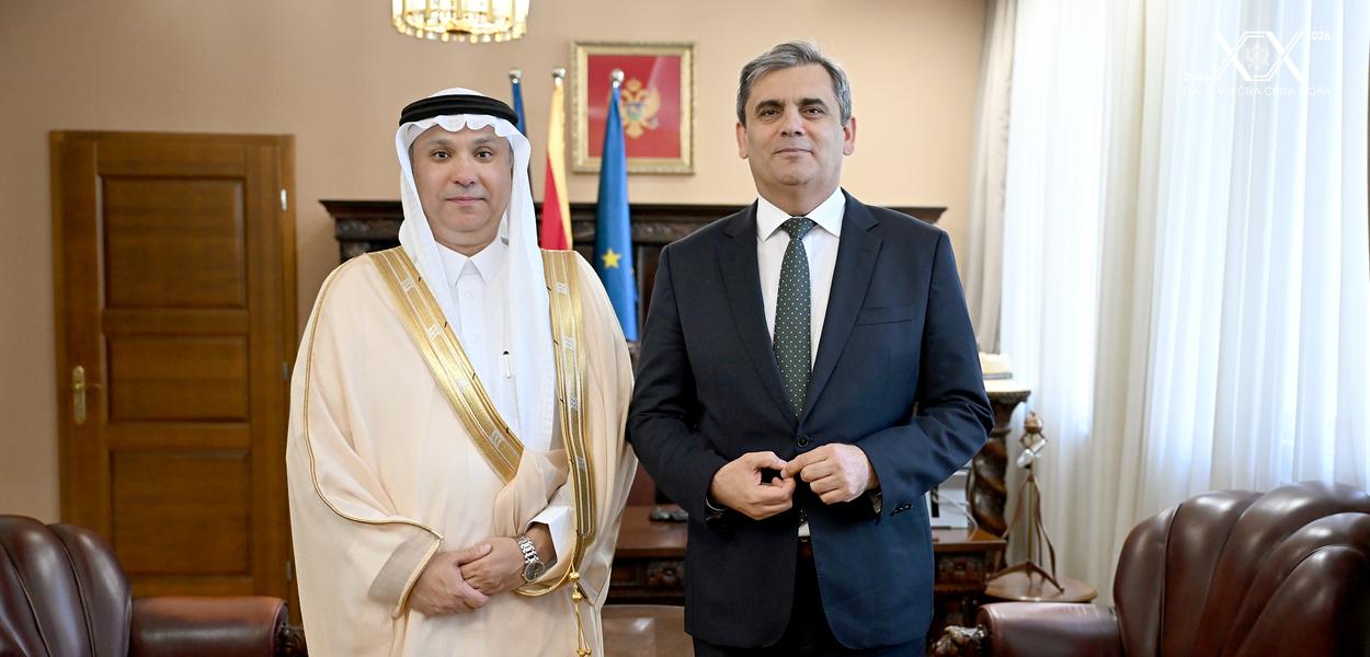 Hifzij i Ibrahimović (Foto: MVP)