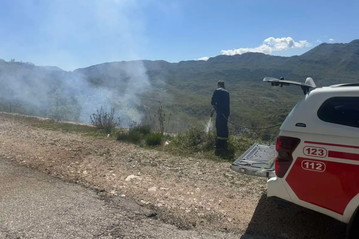 Vatrogasci na terenu (Foto: RTV Cetinje)
