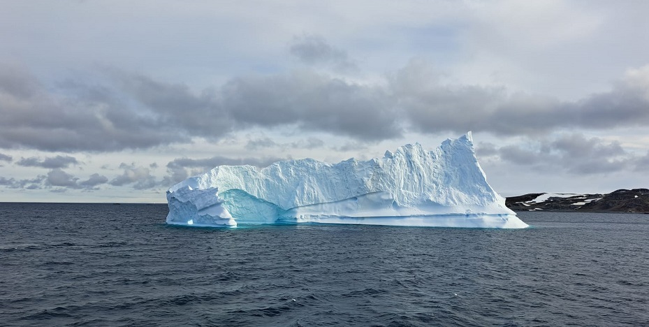  (Foto: Privatna arhiva)